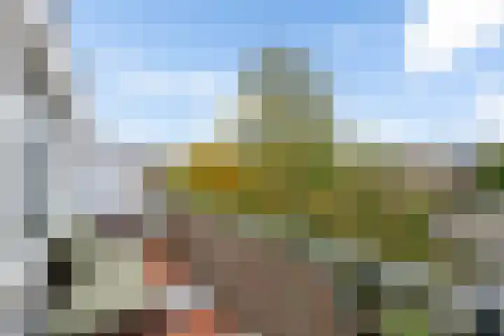 Het Nieuwe Land 35 Arnhem thumbnail 13