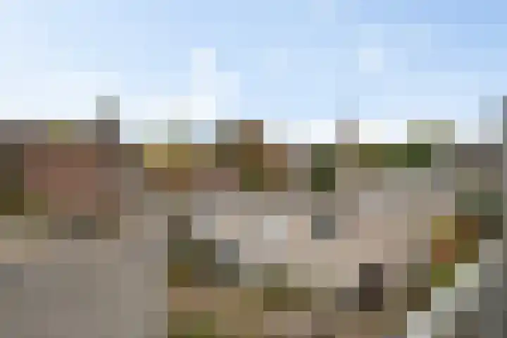 Het Nieuwe Land 35 Arnhem thumbnail 14