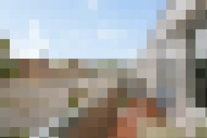 Het Nieuwe Land 35 Arnhem thumbnail 15