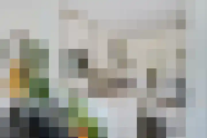 Het Nieuwe Land 35 Arnhem thumbnail 17