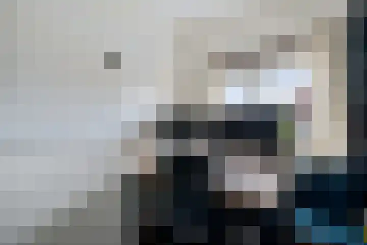 Het Nieuwe Land 35 Arnhem thumbnail 25