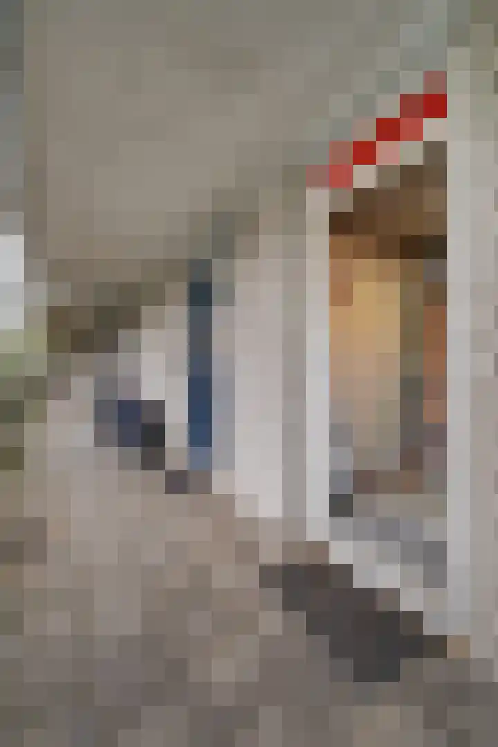 Het Nieuwe Land 35 Arnhem thumbnail 29