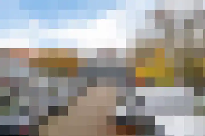 Het Nieuwe Land 35 Arnhem thumbnail 33
