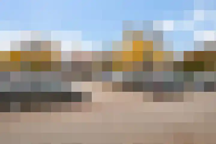 Het Nieuwe Land 35 Arnhem thumbnail 5