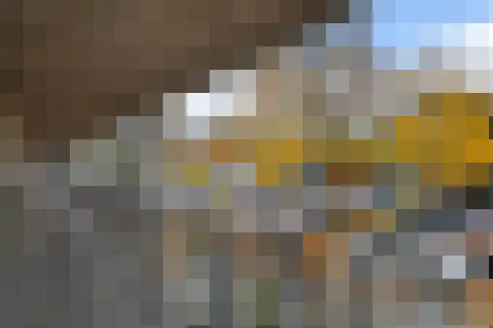 Het Nieuwe Land 35 Arnhem thumbnail 6