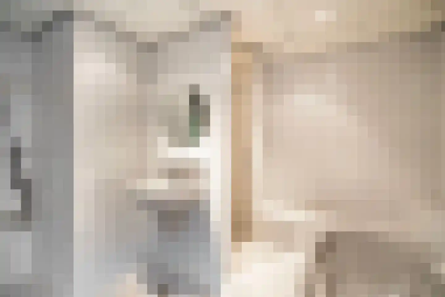 Het Nieuwe Land 6 Arnhem thumbnail 12