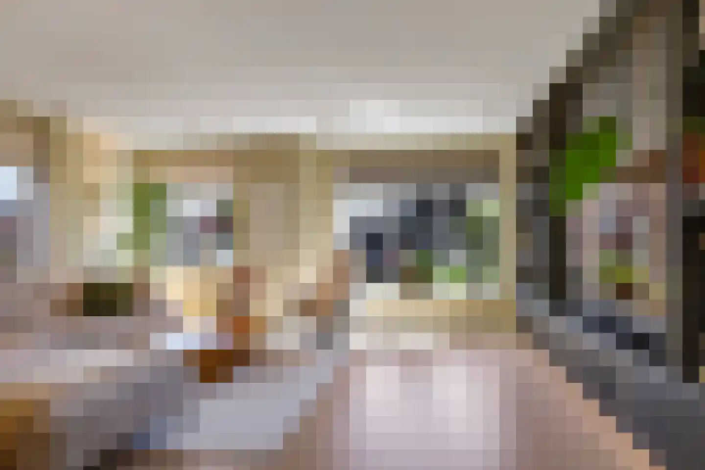 Het Nieuwland 8 Dodewaard thumbnail 16