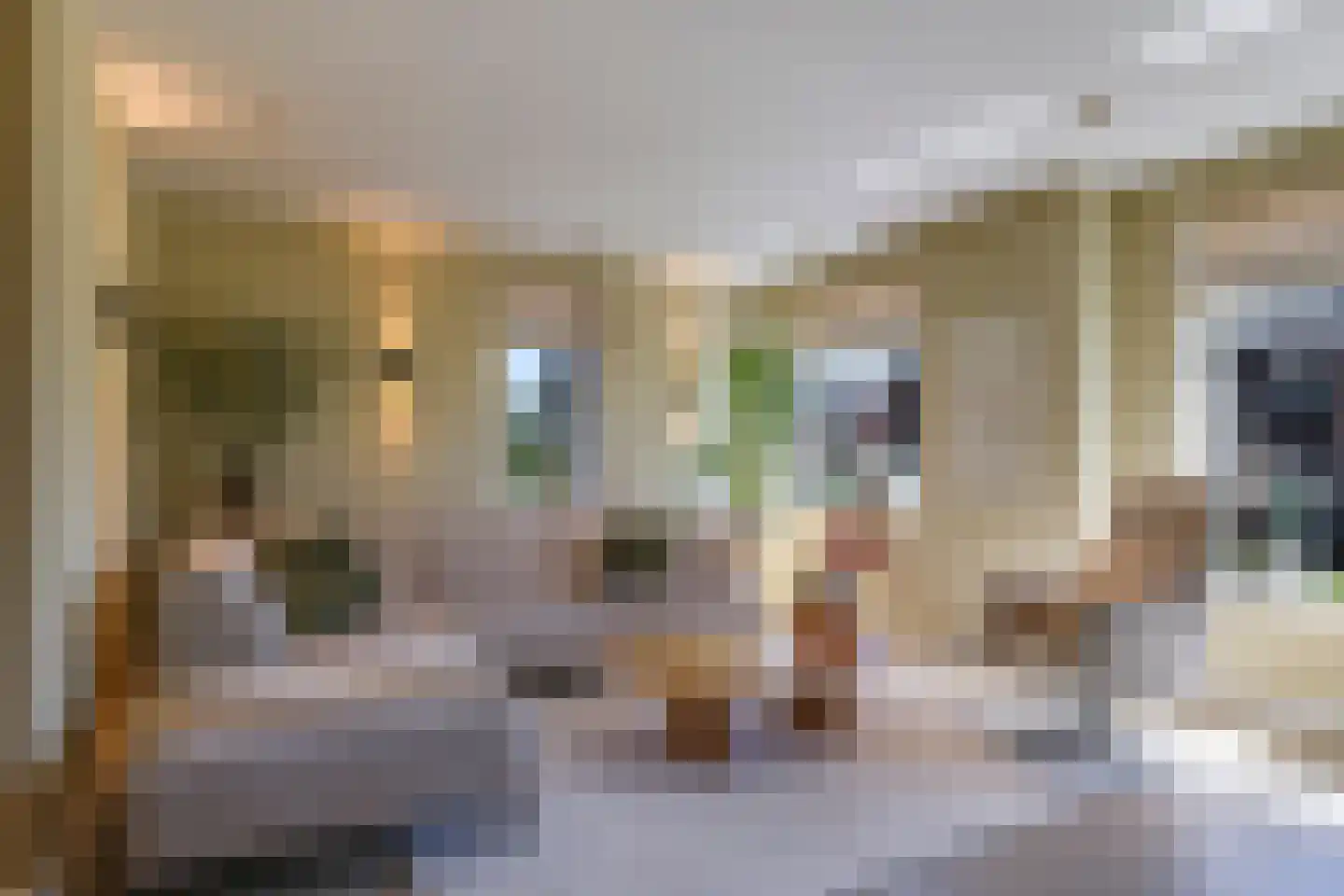 Het Nieuwland 8 Dodewaard thumbnail 17
