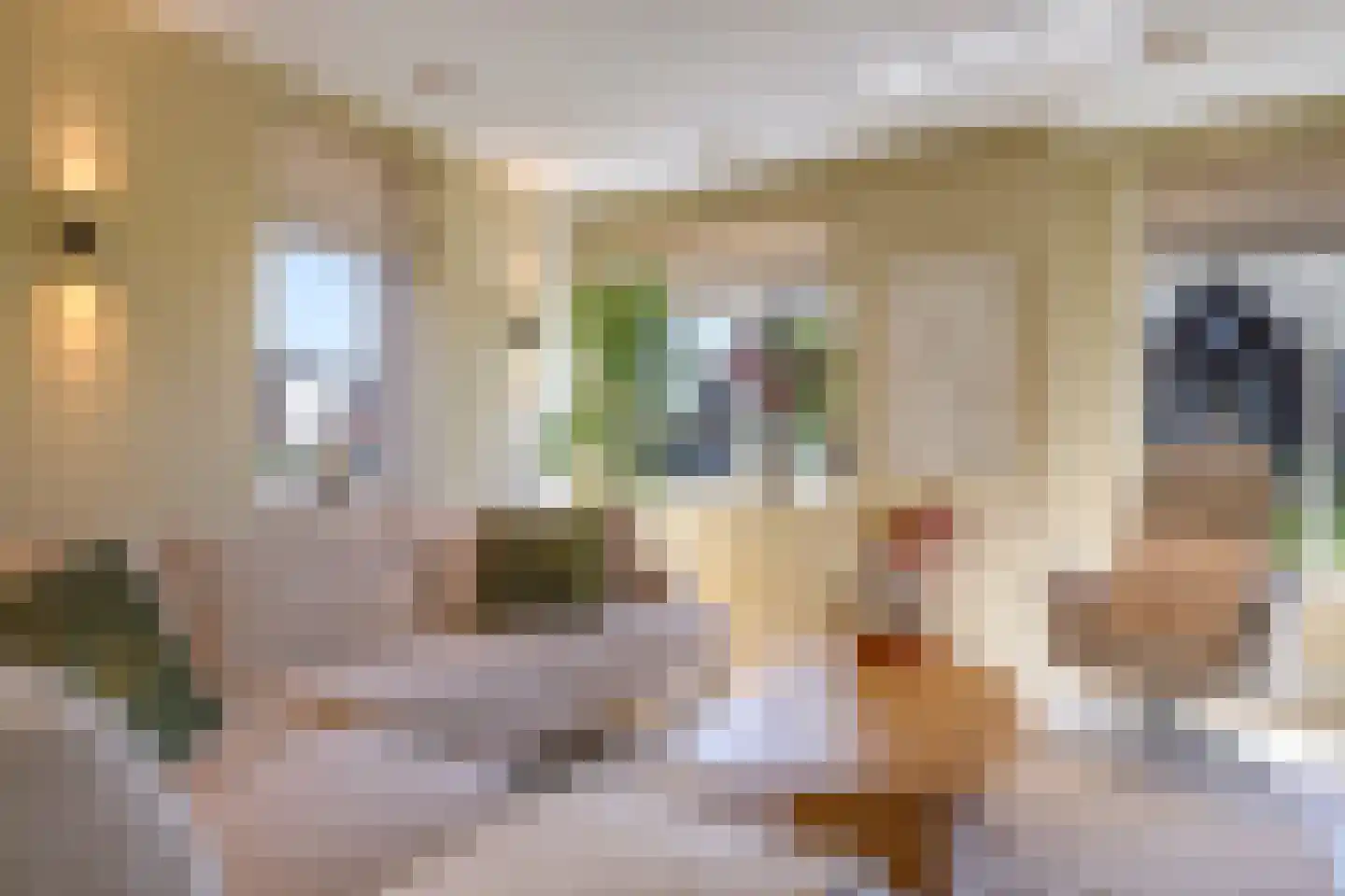 Het Nieuwland 8 Dodewaard thumbnail 19
