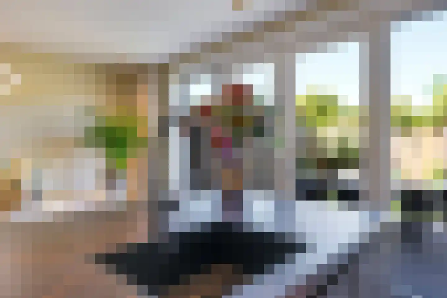 Het Nieuwland 8 Dodewaard thumbnail 36