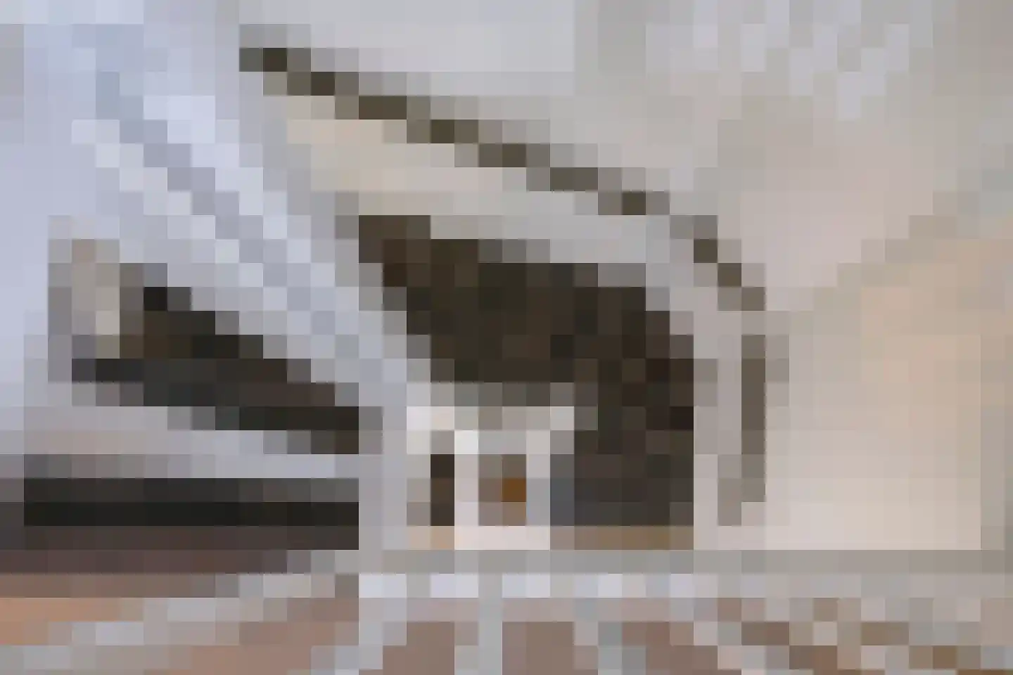 Het Nieuwland 8 Dodewaard thumbnail 60