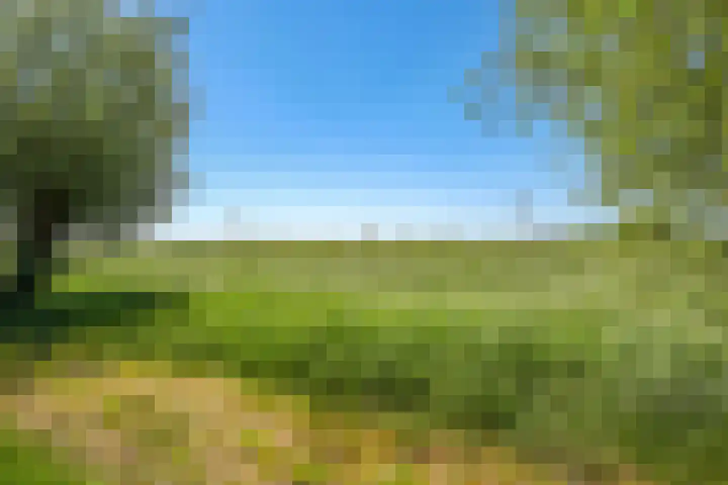 Het Nieuwland 8 Dodewaard thumbnail 91