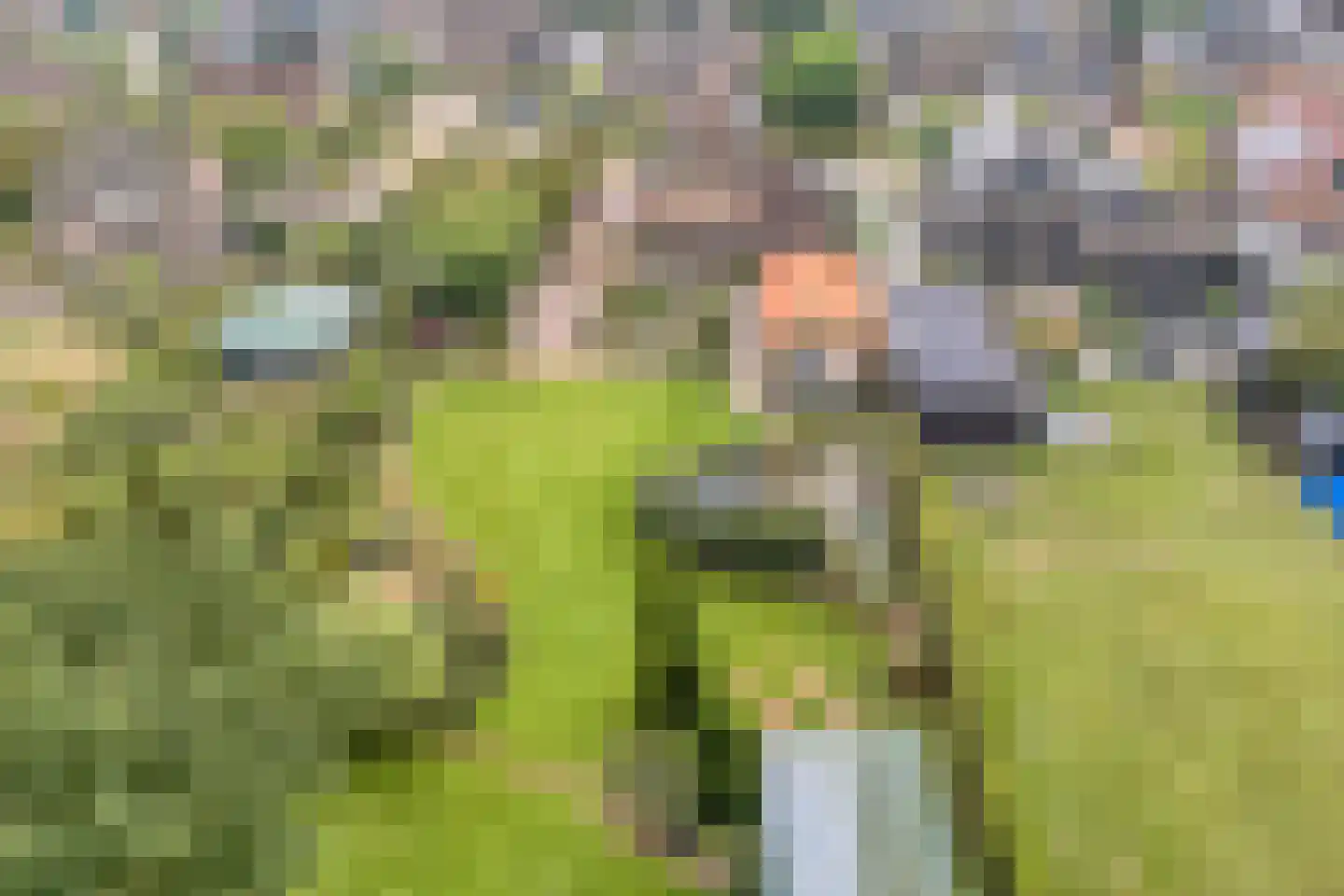 Het Nieveen 60 Nijeveen thumbnail 5