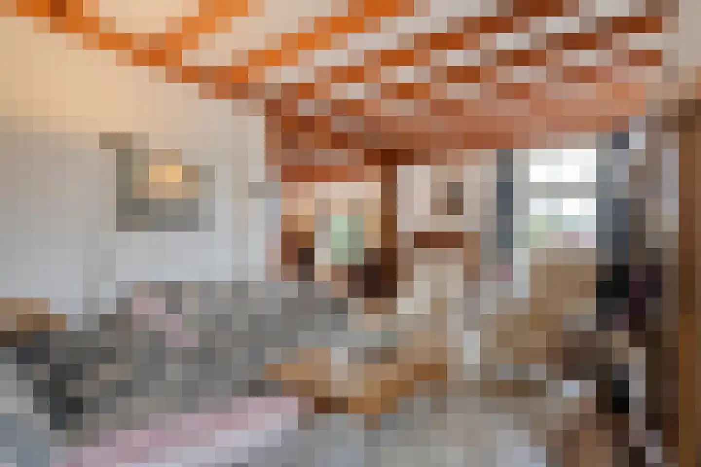 Het Nieveen 60 Nijeveen thumbnail 8