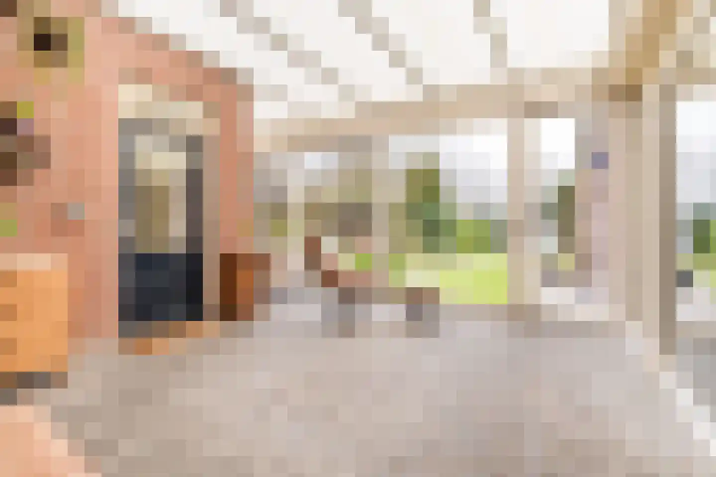 Het Nieveld 35 Casteren thumbnail 16