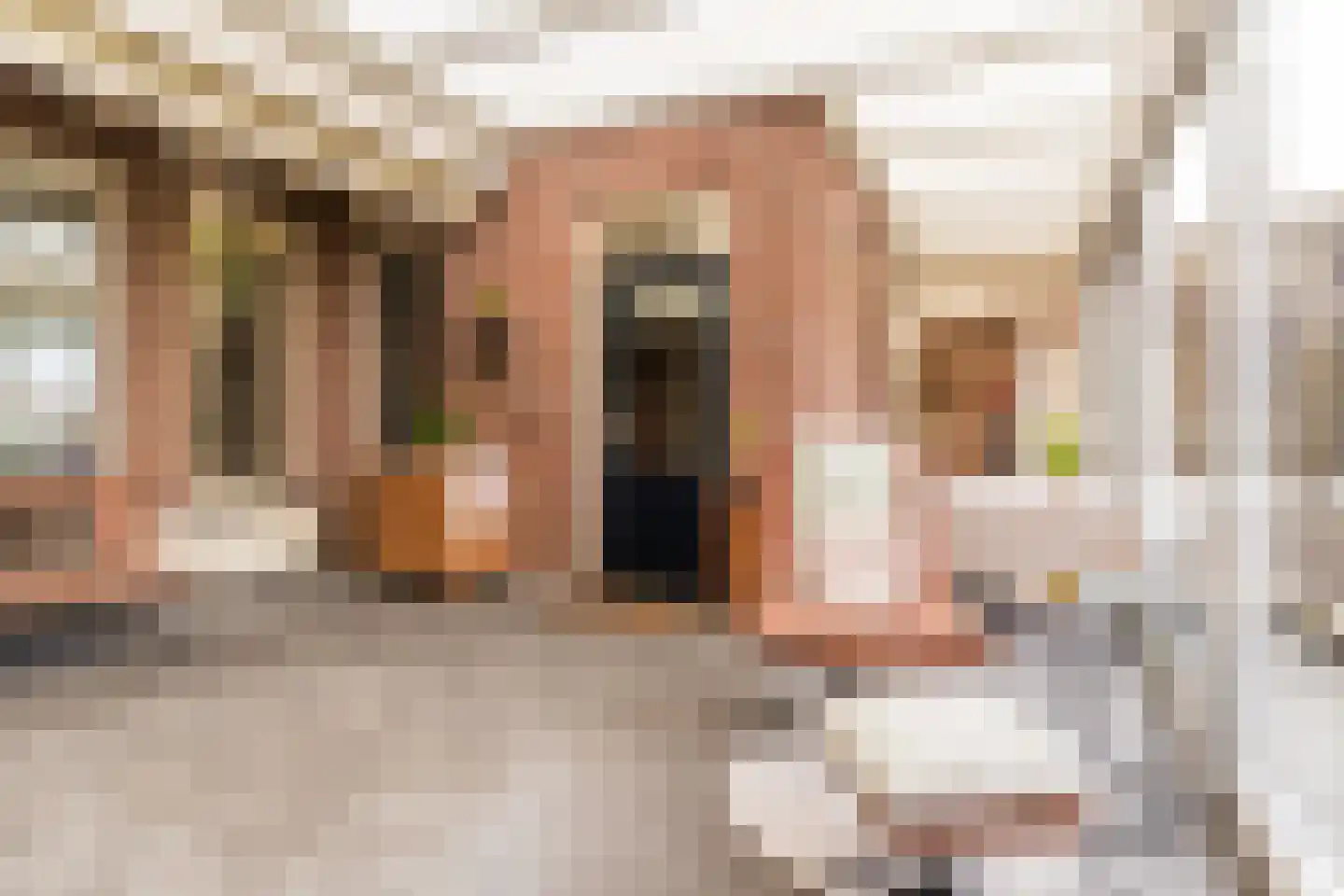 Het Nieveld 35 Casteren thumbnail 17