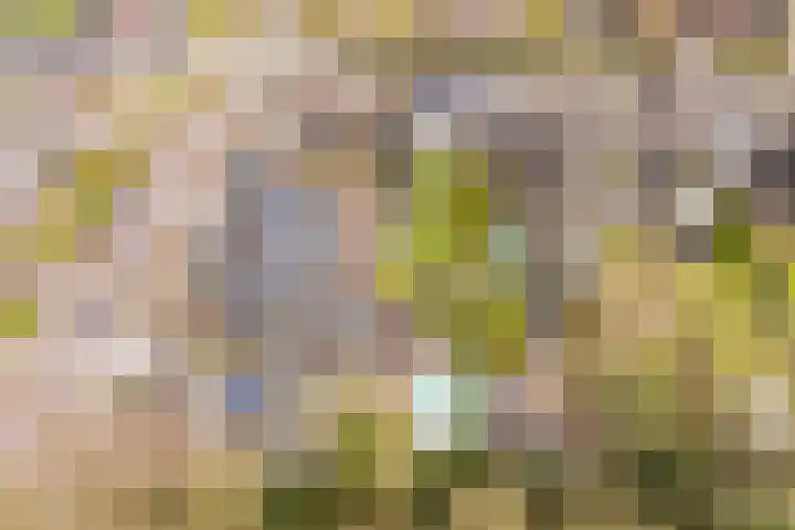 Het Nieveld 35 Casteren thumbnail 28