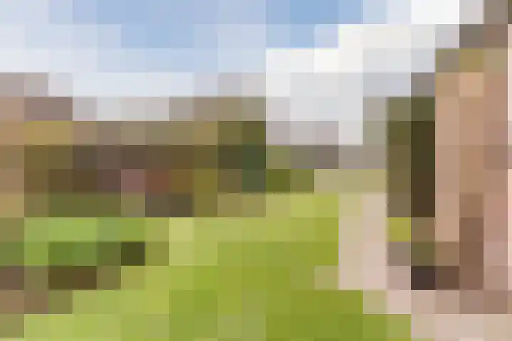 Het Nieveld 35 Casteren thumbnail 29