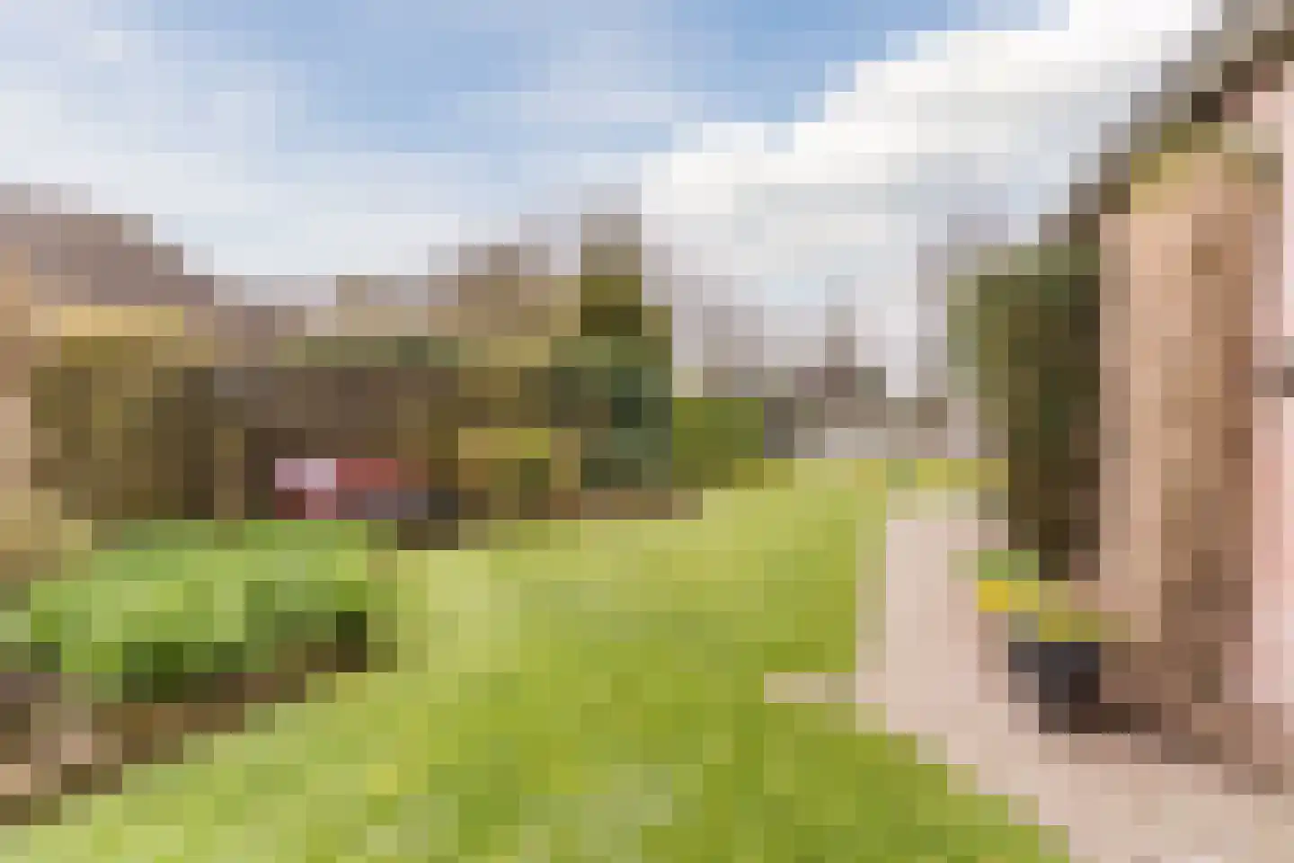 Het Nieveld 35 Casteren thumbnail 29