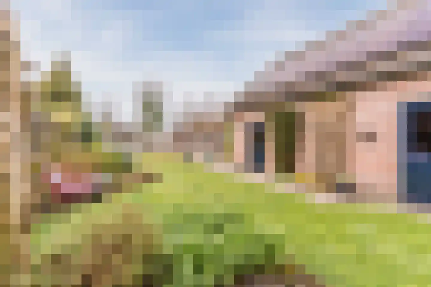 Het Nieveld 35 Casteren thumbnail 30
