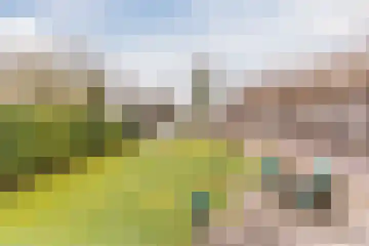 Het Nieveld 35 Casteren thumbnail 31