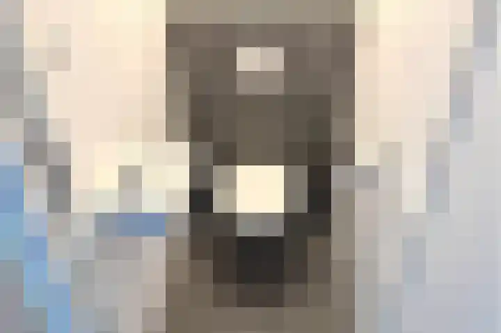 Het Nieveld 35 Casteren thumbnail 33