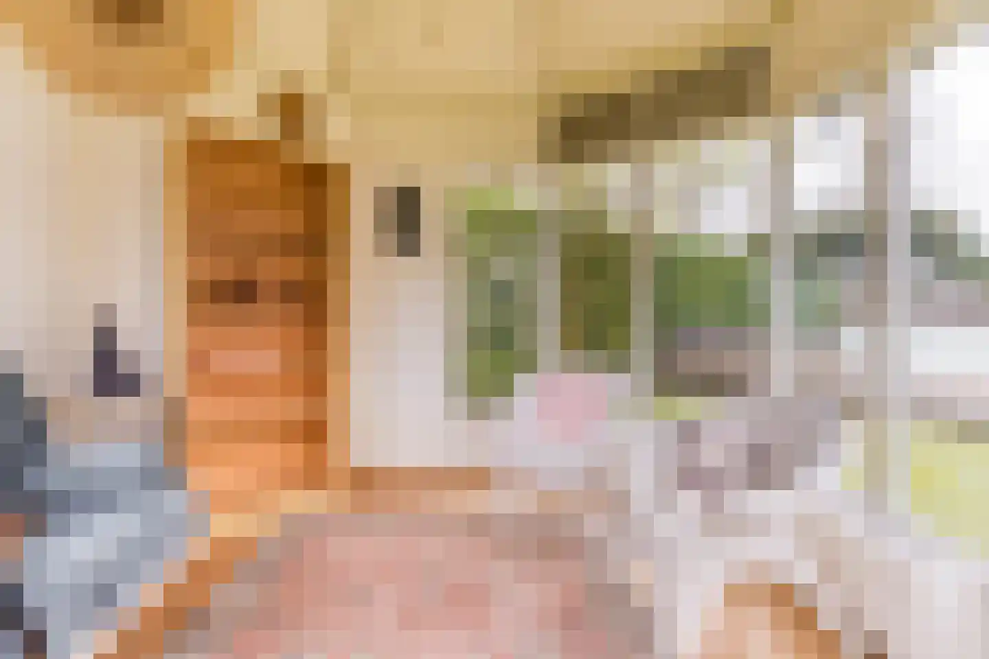 Het Nieveld 35 Casteren thumbnail 36
