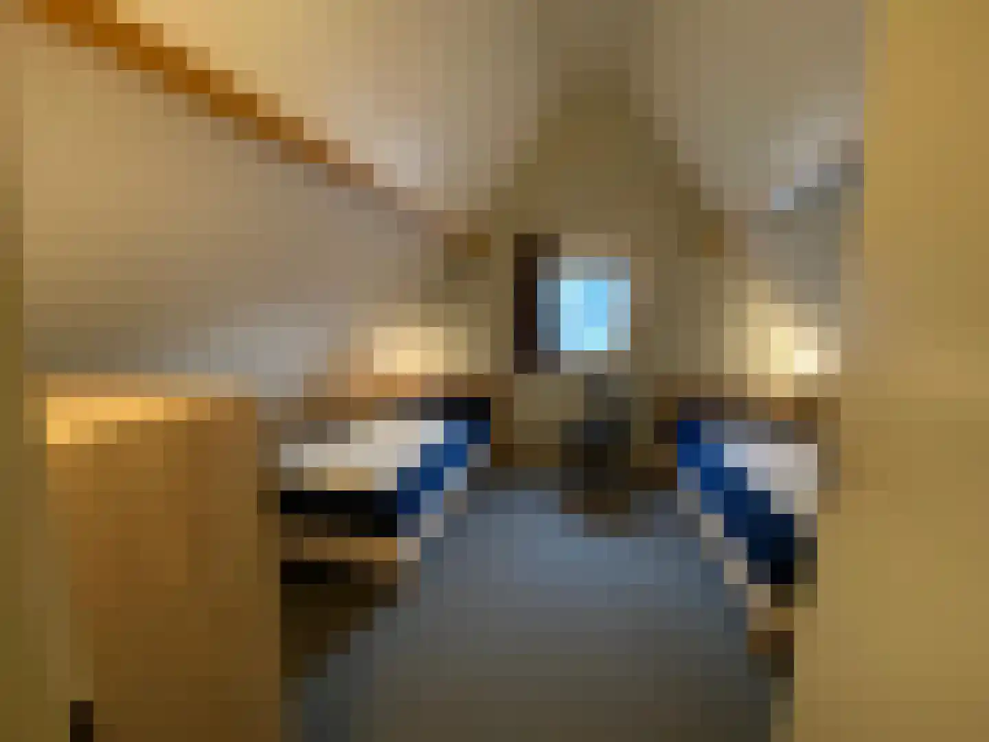 Het Nieveld 35 Casteren thumbnail 37