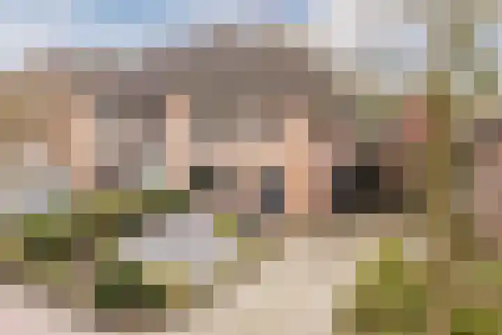 Het Nieveld 35 Casteren thumbnail 4