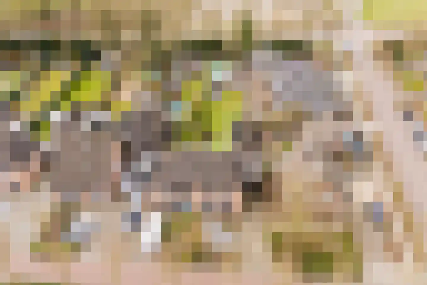Het Nieveld 35 Casteren thumbnail 51