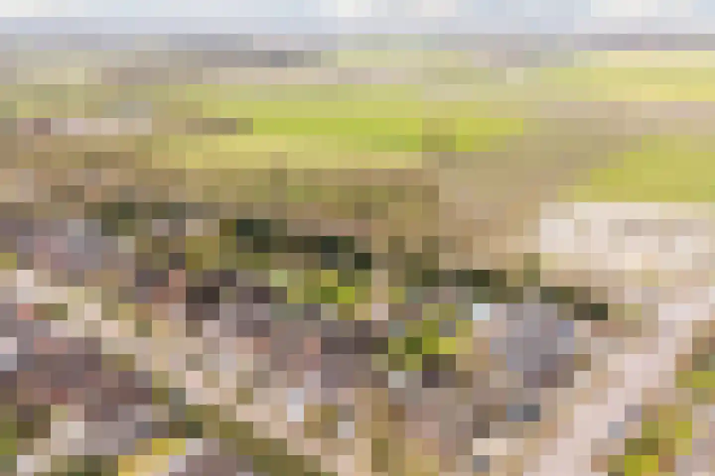 Het Nieveld 35 Casteren thumbnail 54
