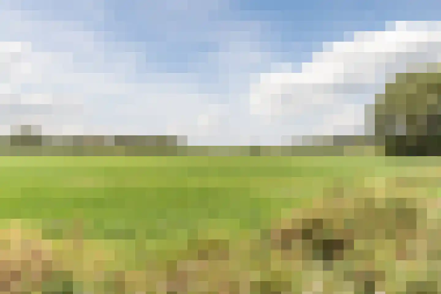 Het Nieveld 35 Casteren thumbnail 55