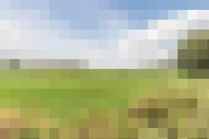 Het Nieveld 35 Casteren thumbnail 55