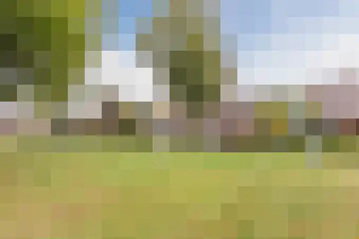 Het Nieveld 35 Casteren thumbnail 56