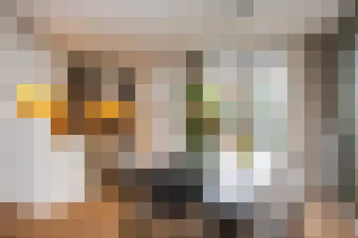 Het Nijhof 45 Enschede thumbnail 11