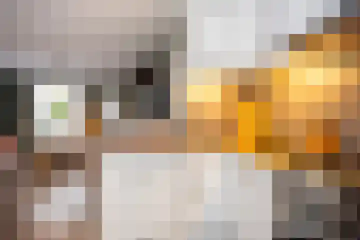 Het Nijhof 45 Enschede thumbnail 14