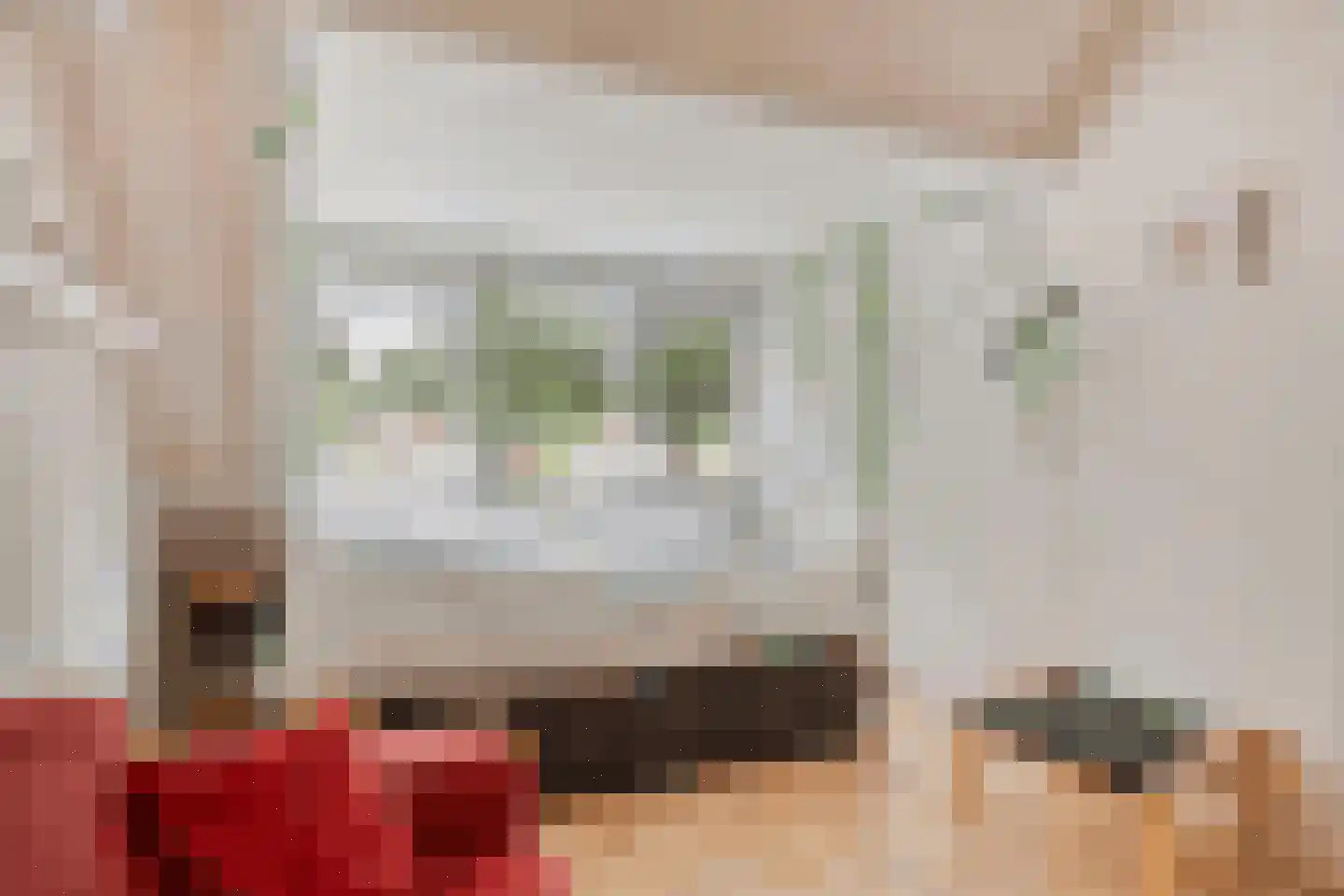 Het Nijhof 47 Enschede thumbnail 19