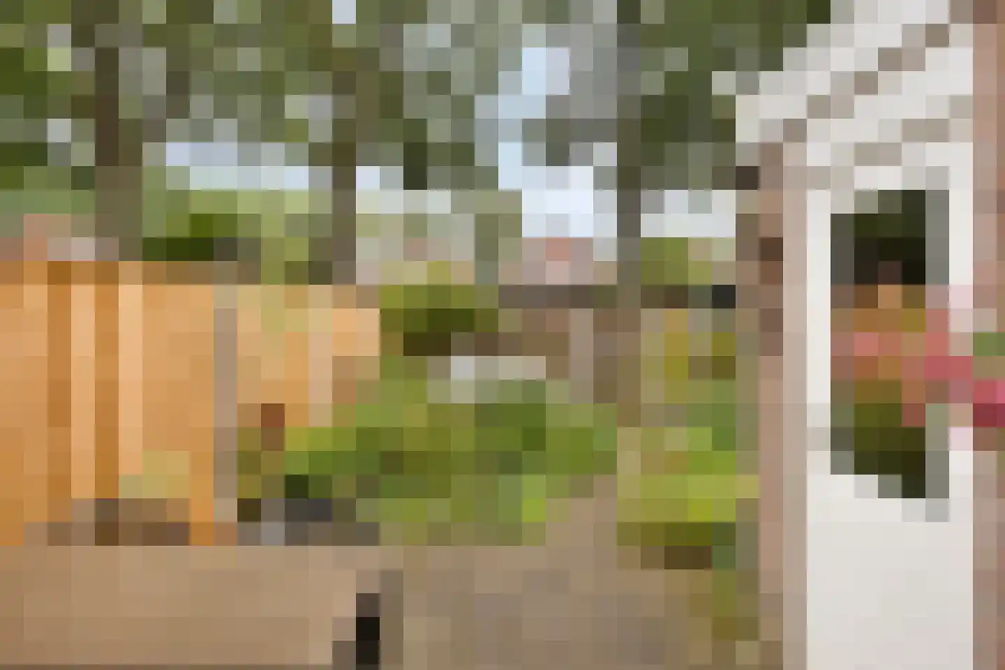 Het Nijhof 47 Enschede thumbnail 22