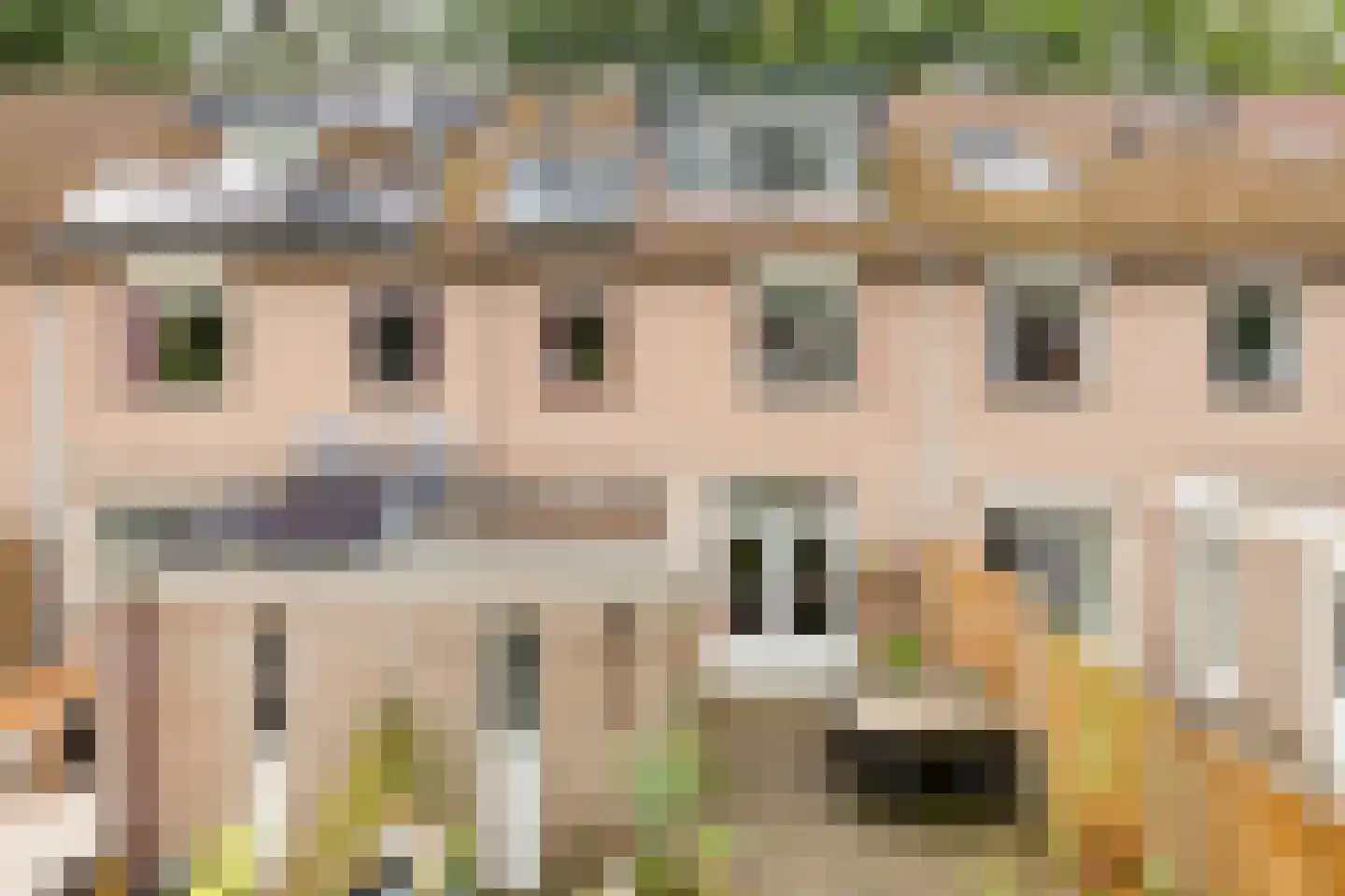 Het Nijhof 47 Enschede thumbnail 22