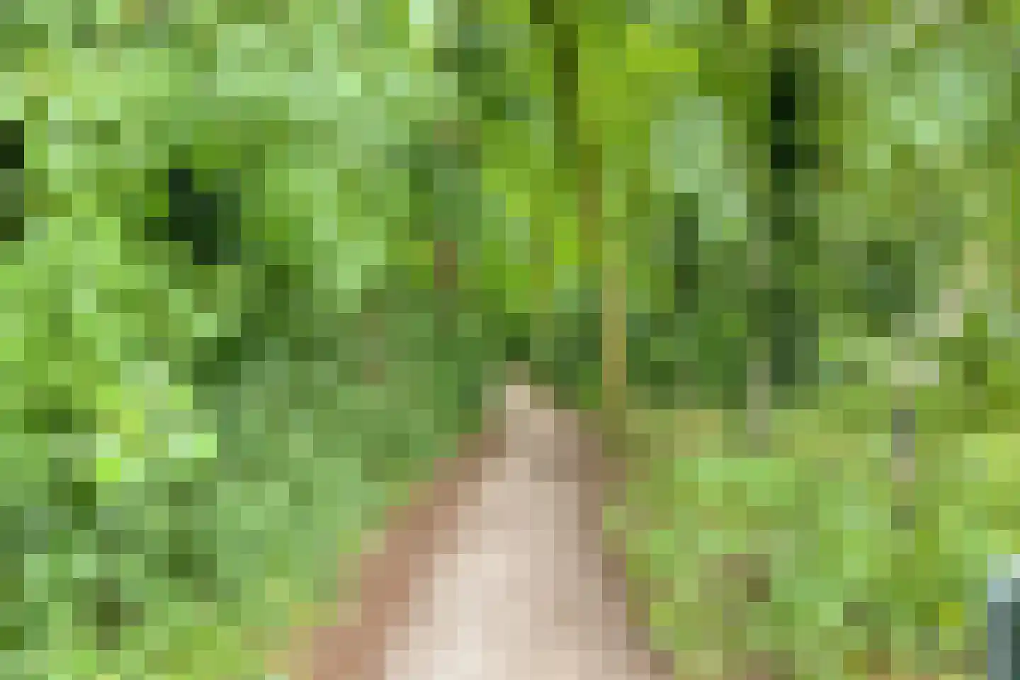 Het Nijhof 47 Enschede thumbnail 23