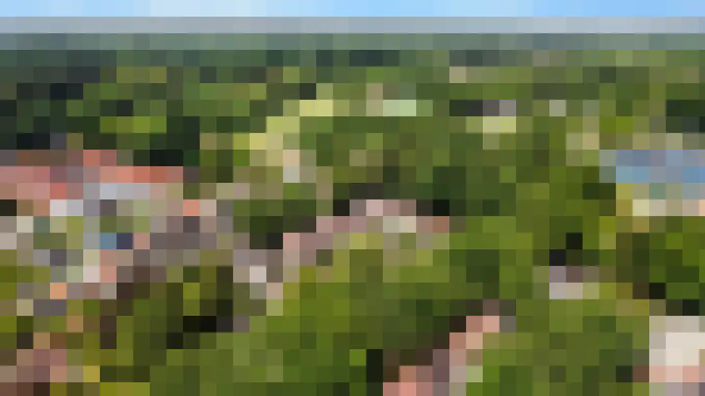 Het Nijhof 47 Enschede thumbnail 28