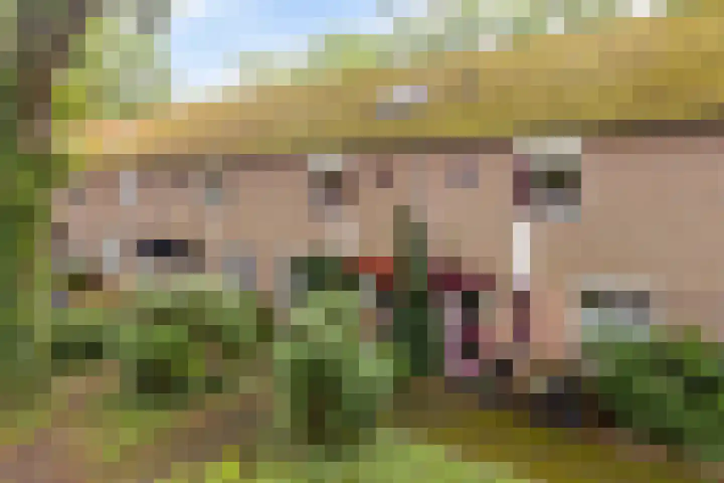 Het Nijhof 47 Enschede thumbnail 4