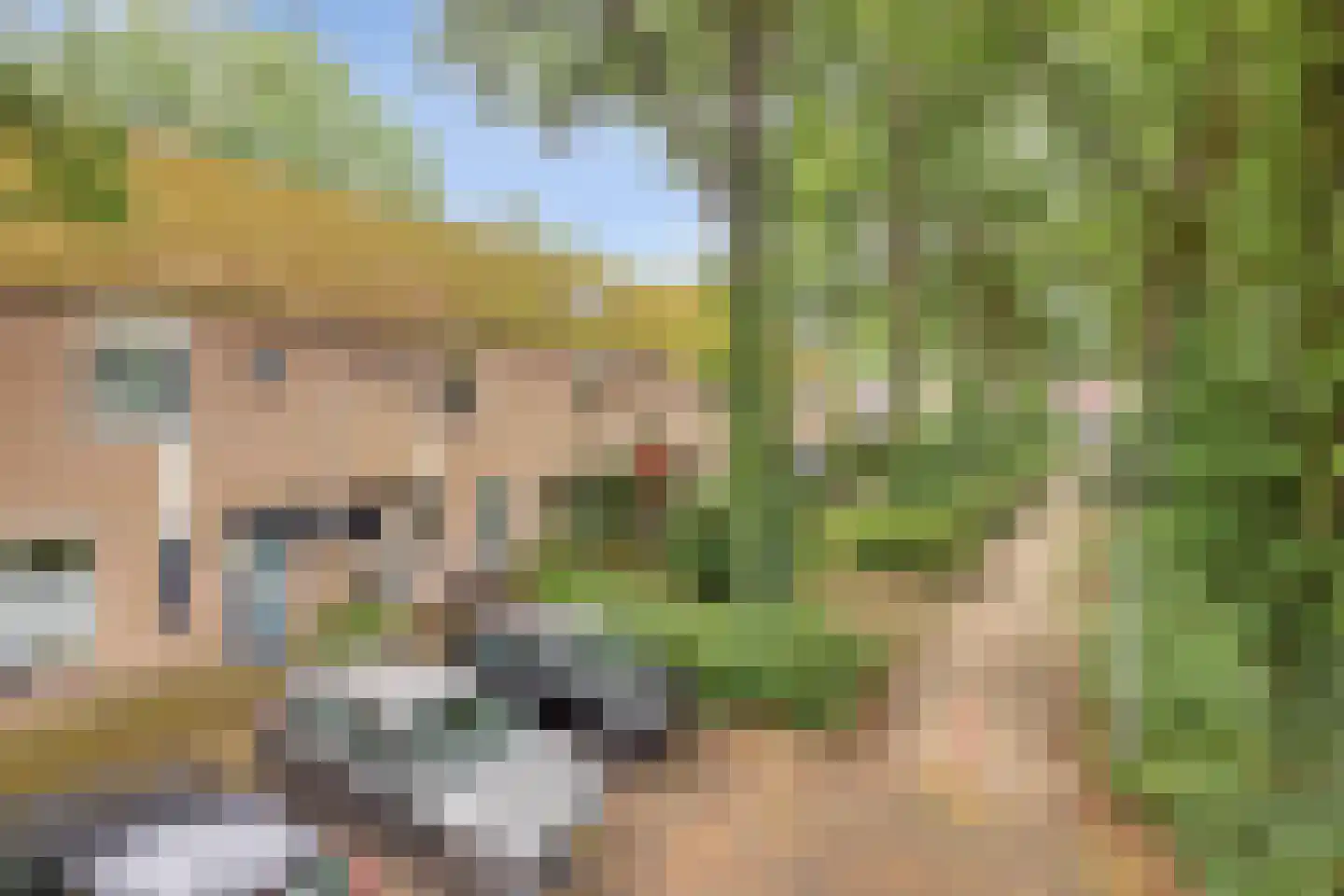 Het Nijhof 47 Enschede thumbnail 6