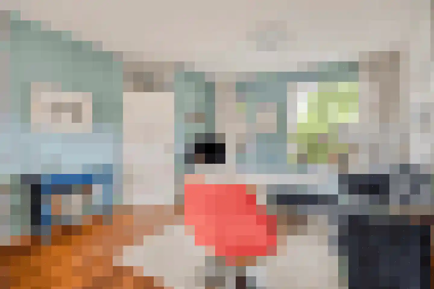 Het Nijhof 47 Enschede thumbnail 7
