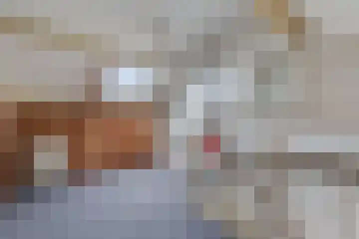 het Noord 20 Ens thumbnail 40