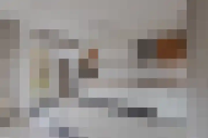 het Noord 20 Ens thumbnail 5