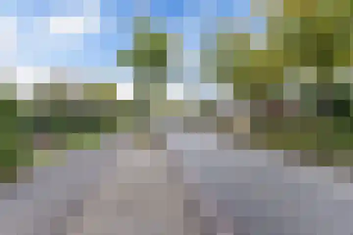 Het Noord 4 Drachten thumbnail 10