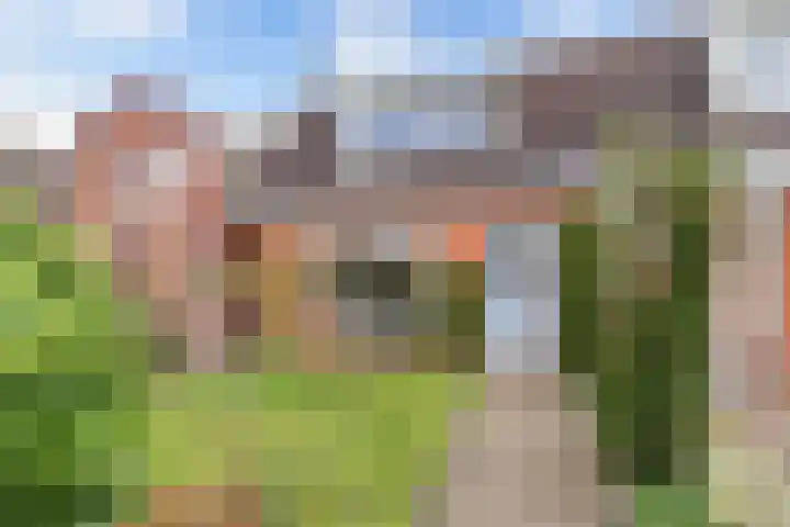 Het Noord 4 Drachten thumbnail 11