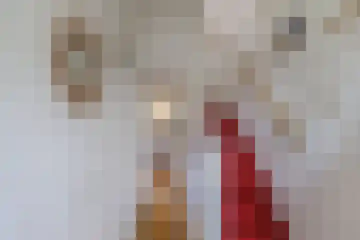 Het Noord 4 Drachten thumbnail 12