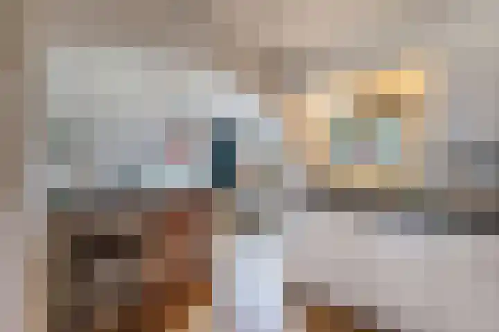Het Noord 4 Drachten thumbnail 14